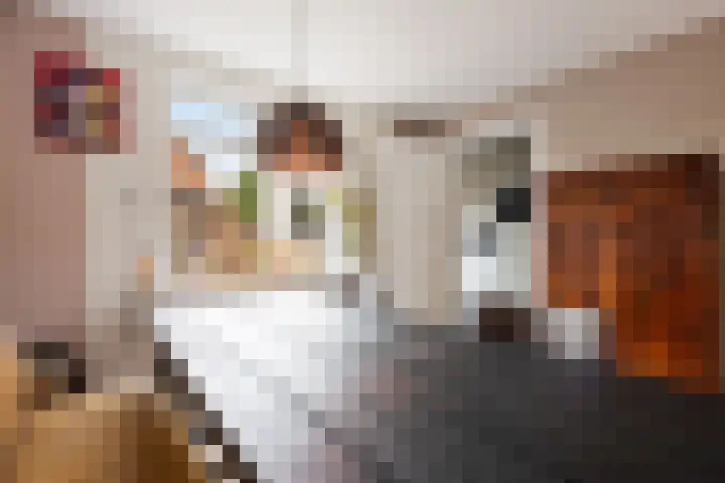 Prins Bernhardlaan 189 Veenendaal thumbnail 13