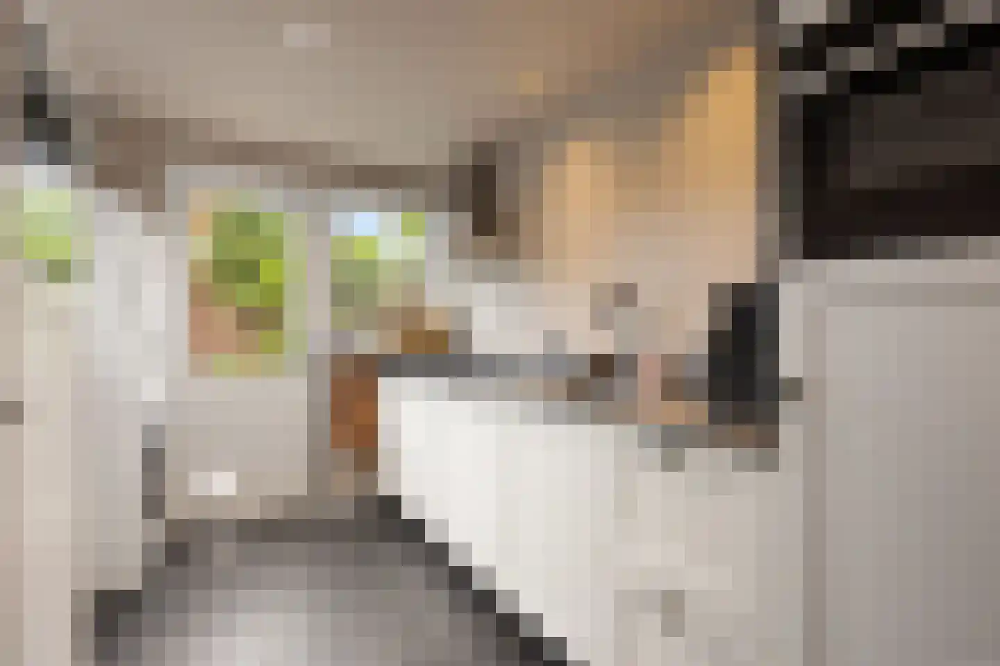 Prins Bernhardlaan 189 Veenendaal thumbnail 14
