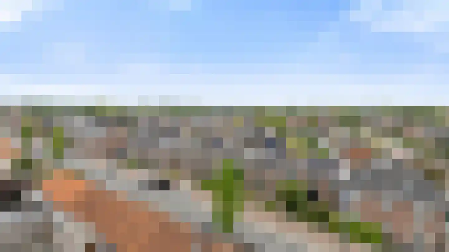 Prins Bernhardlaan 189 Veenendaal thumbnail 4