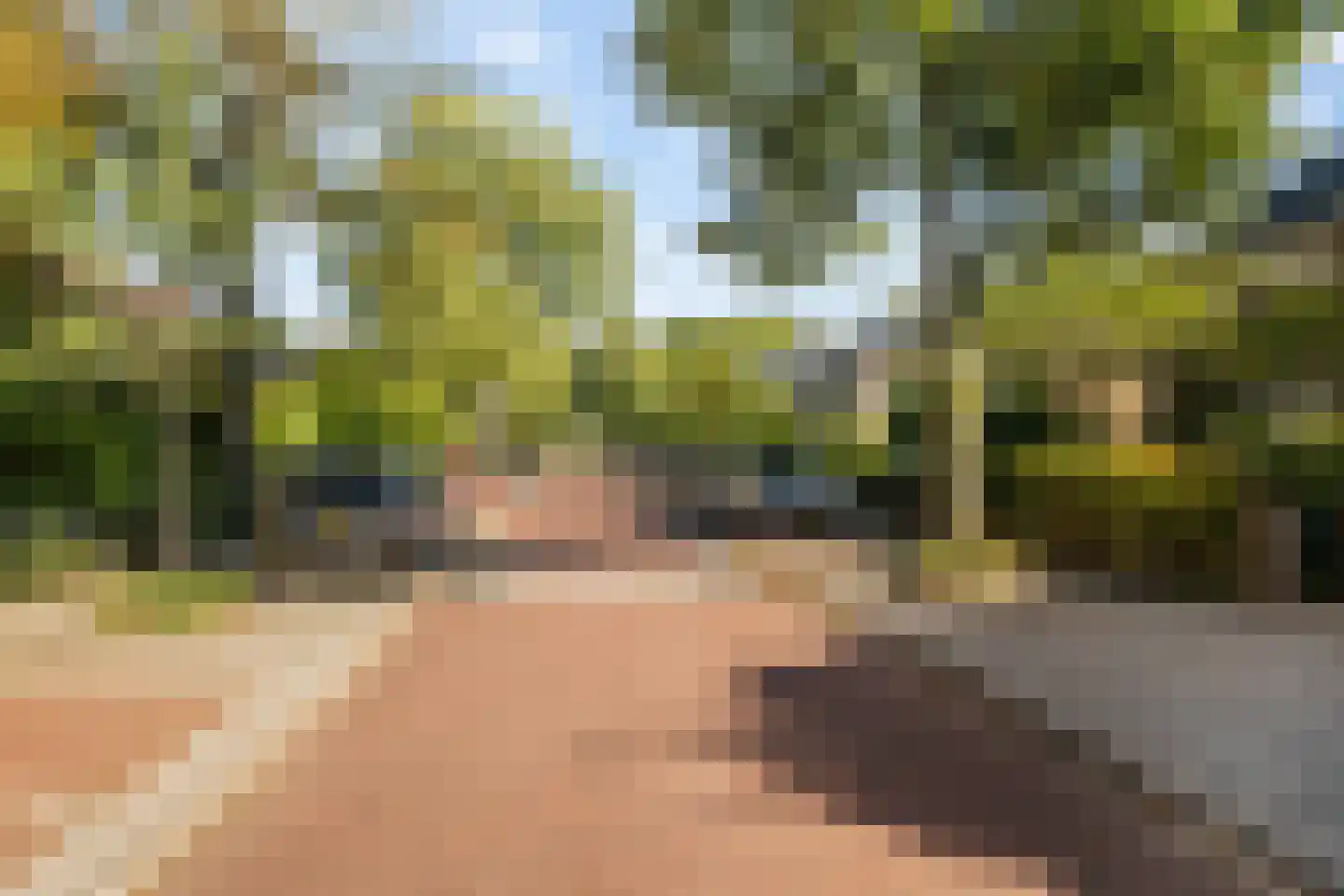 Prins Bernhardlaan 19 Vlaardingen thumbnail 12