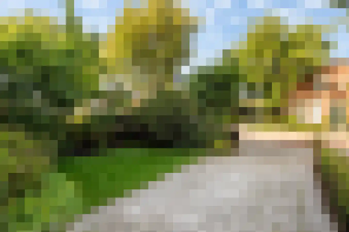 Prins Bernhardlaan 19 Vlaardingen thumbnail 16