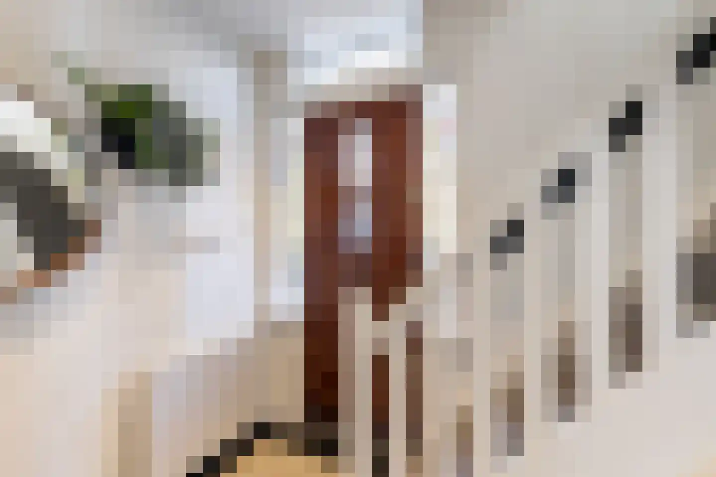 Prins Bernhardlaan 19 Vlaardingen thumbnail 20