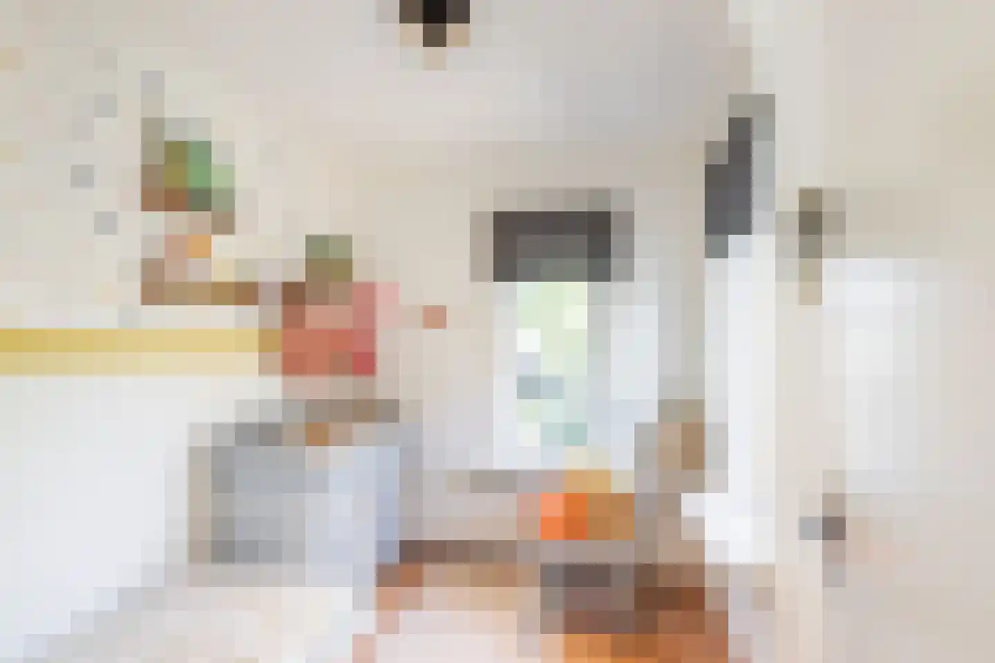 Prins Bernhardlaan 19 Vlaardingen thumbnail 44