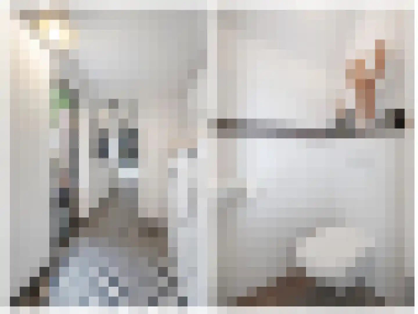 Prins Bernhardlaan 19 Vught thumbnail 26