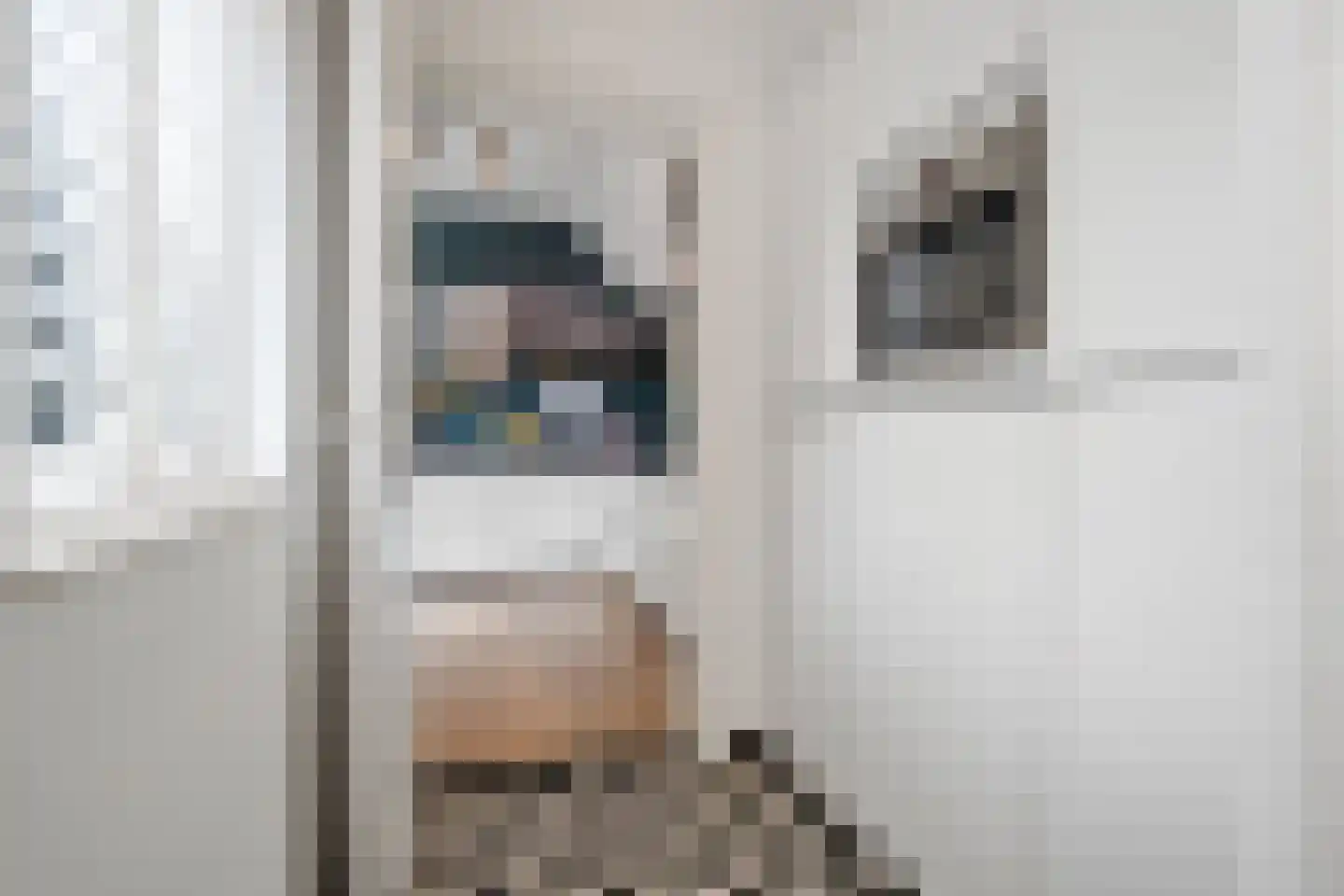 Prins Bernhardlaan 19 Vught thumbnail 27