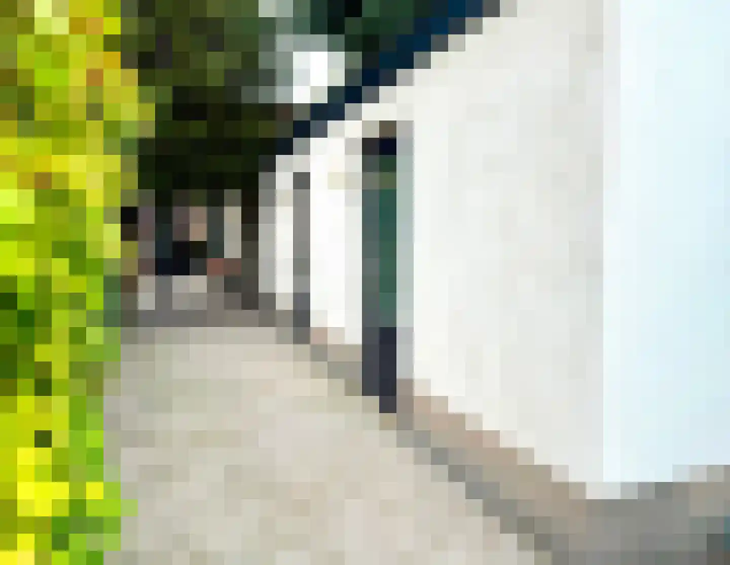 Prins Bernhardlaan 19 Vught thumbnail 28