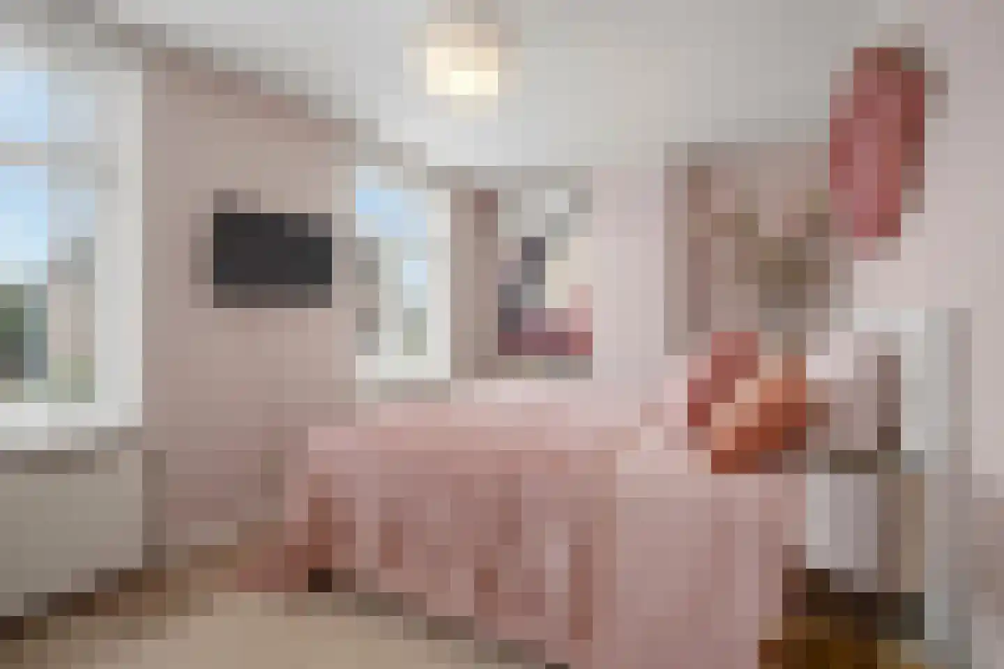 Prins Bernhardlaan 19 Vught thumbnail 30