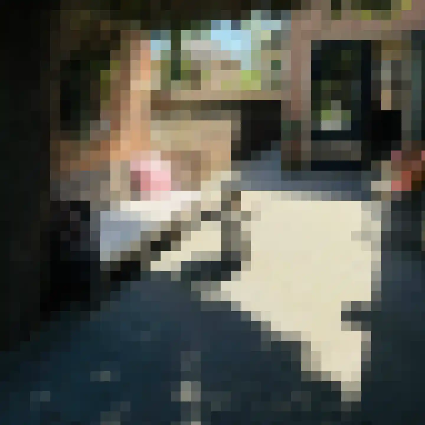 Prins Bernhardlaan 19 Vught thumbnail 44