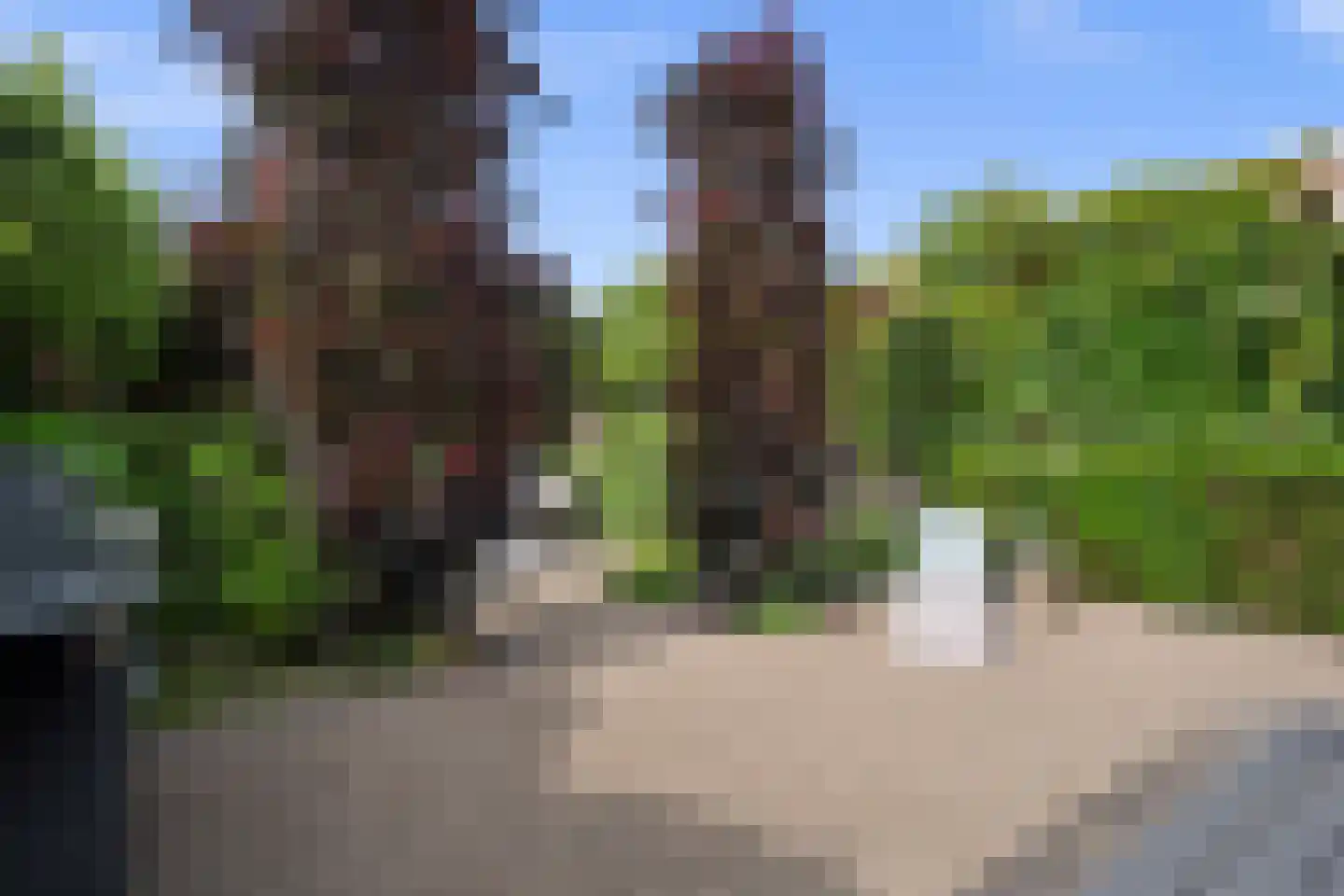 Prins Bernhardlaan 19 Vught thumbnail 48