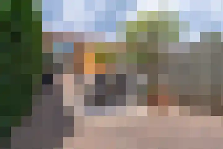 Prins Bernhardlaan 198 Veenendaal thumbnail 22