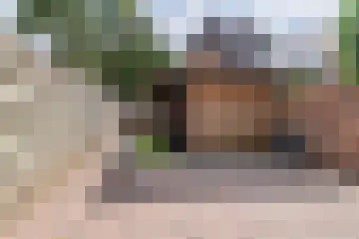 Prins Bernhardlaan 198 Veenendaal thumbnail 23