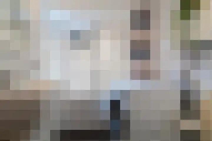 Prins Bernhardlaan 198 Veenendaal thumbnail 9