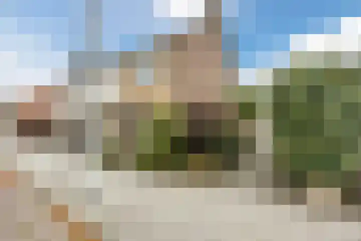 Prins Bernhardlaan 2 a Bergen op Zoom thumbnail 9