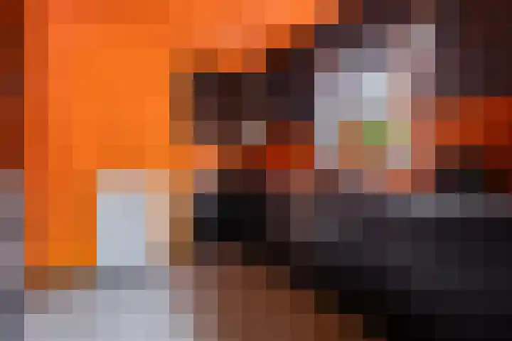 Prins Bernhardlaan 2 A Veendam thumbnail 19