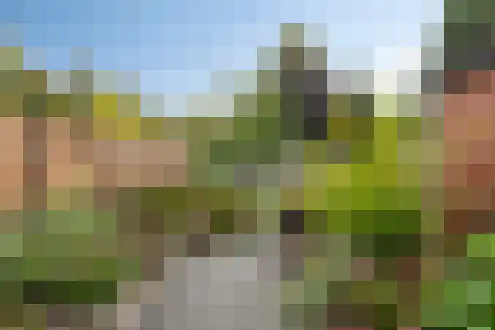 Prins Bernhardlaan 2 A Veendam thumbnail 52