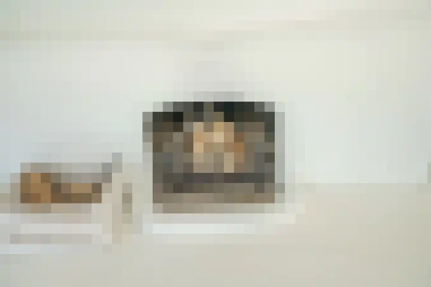 Prins Bernhardlaan 2 Delft thumbnail 13