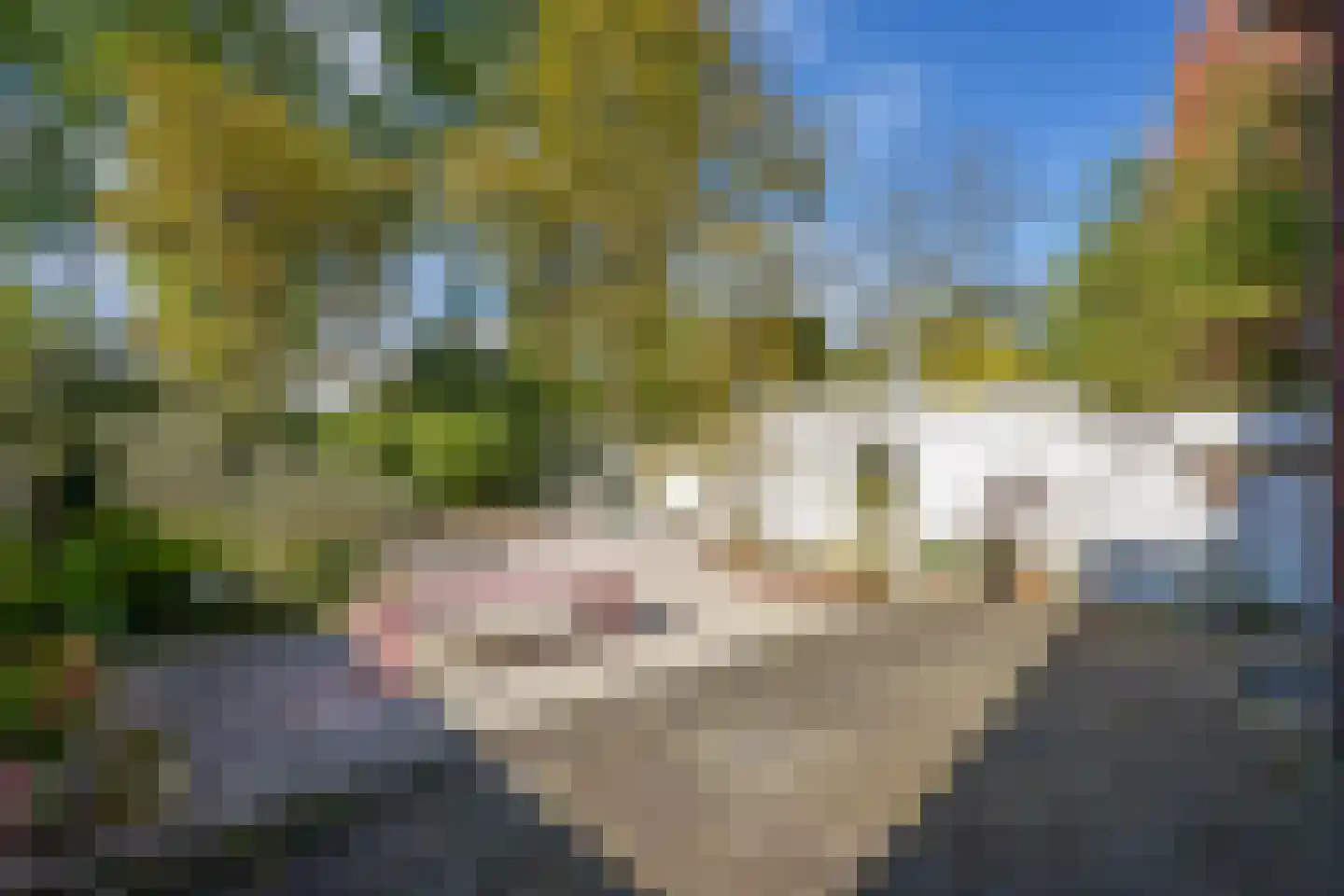 Prins Bernhardlaan 2 Delft thumbnail 21