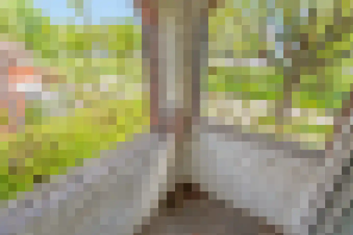 Prins Bernhardlaan 2 Delft thumbnail 33