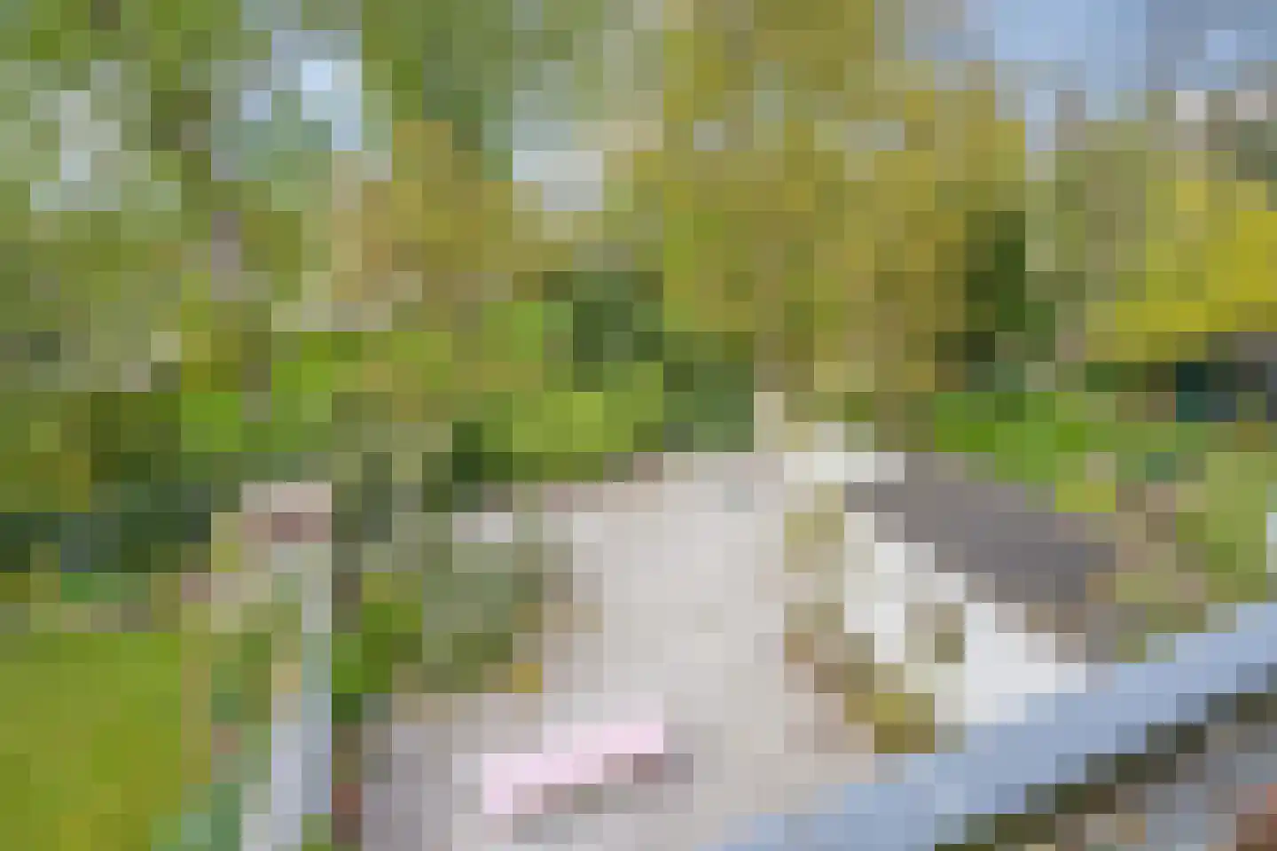 Prins Bernhardlaan 2 Delft thumbnail 47
