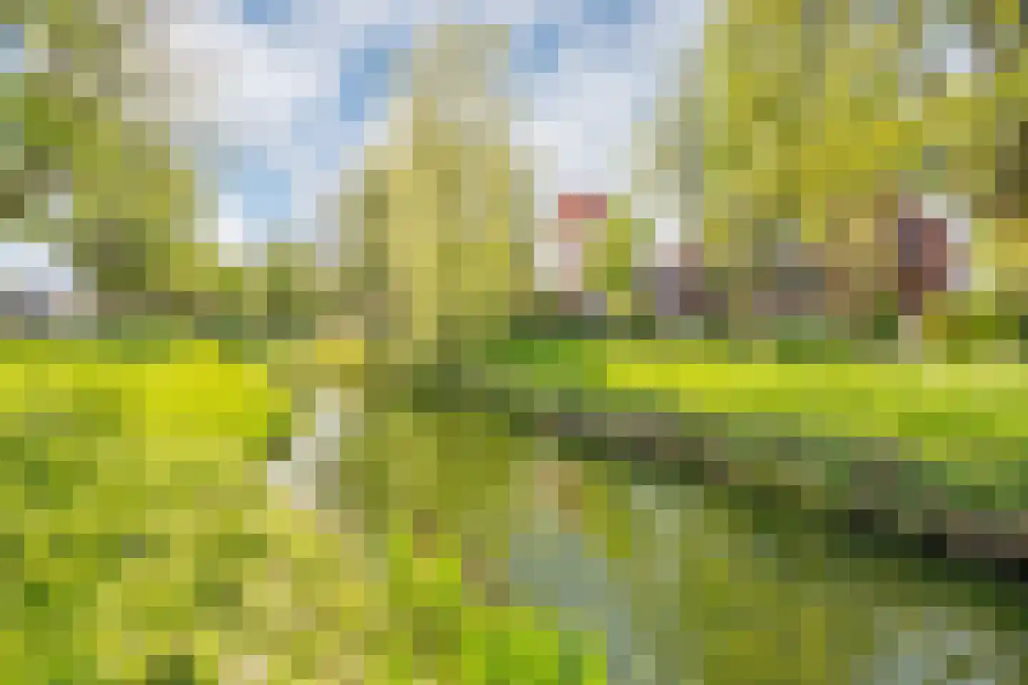 Prins Bernhardlaan 2 Delft thumbnail 56