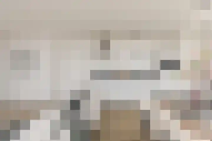 Prins Bernhardlaan 2 K Haarlem thumbnail 14