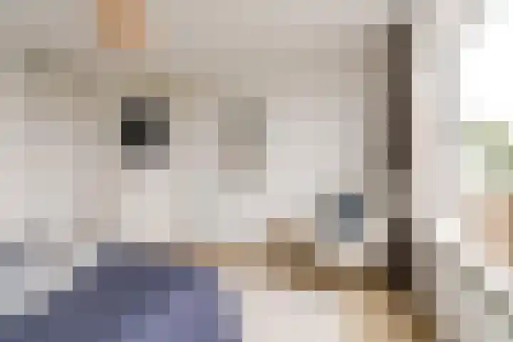 Prins Bernhardlaan 2 K Haarlem thumbnail 16