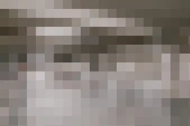 Prins Bernhardlaan 2 K Haarlem thumbnail 25