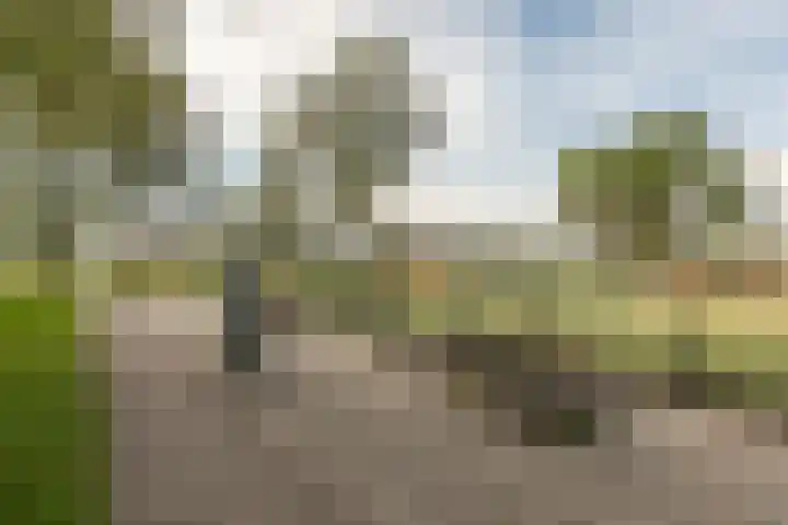 Prins Bernhardlaan 2 K Haarlem thumbnail 28