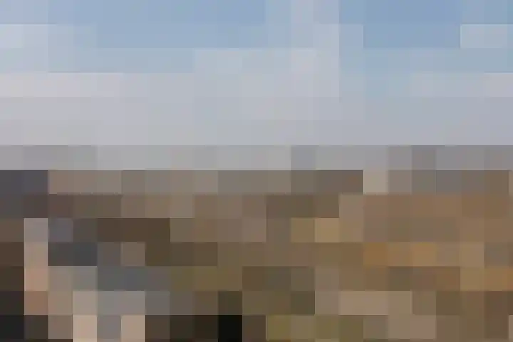 Prins Bernhardlaan 2 L Haarlem thumbnail 12