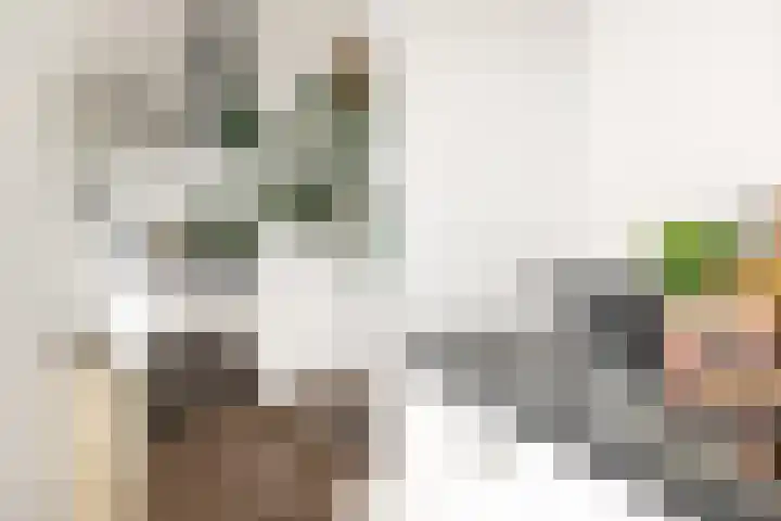 Prins Bernhardlaan 2 L Haarlem thumbnail 16