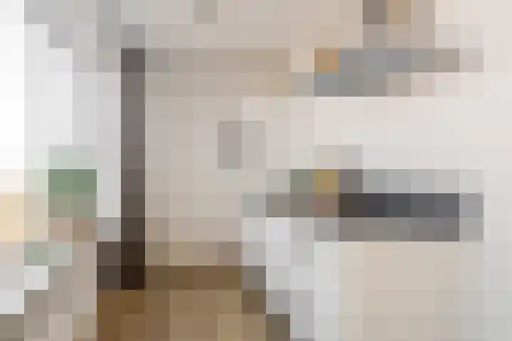 Prins Bernhardlaan 2 L Haarlem thumbnail 17
