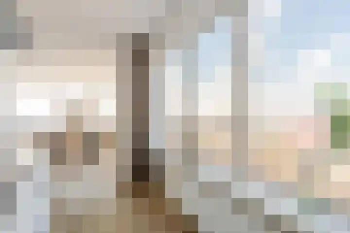 Prins Bernhardlaan 2 L Haarlem thumbnail 18