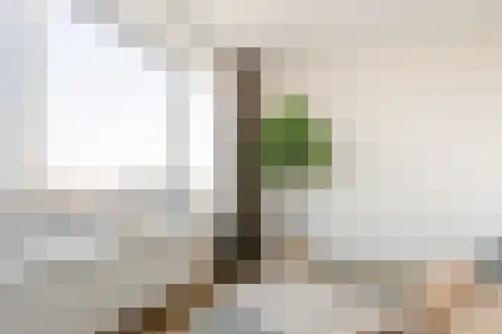 Prins Bernhardlaan 2 L Haarlem thumbnail 22