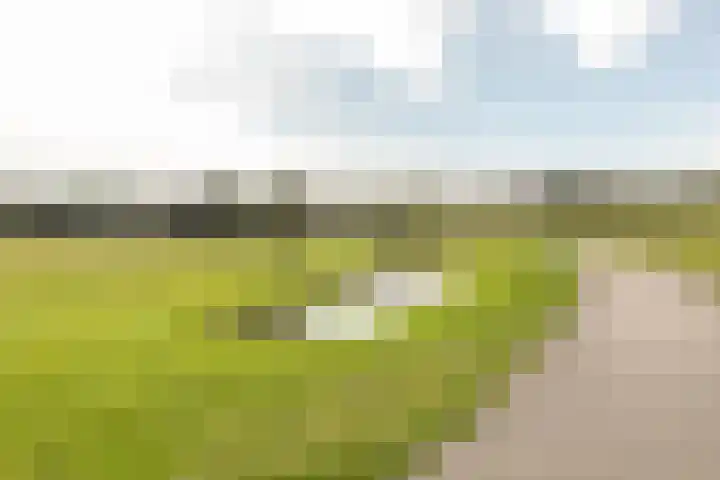 Prins Bernhardlaan 2 L Haarlem thumbnail 33