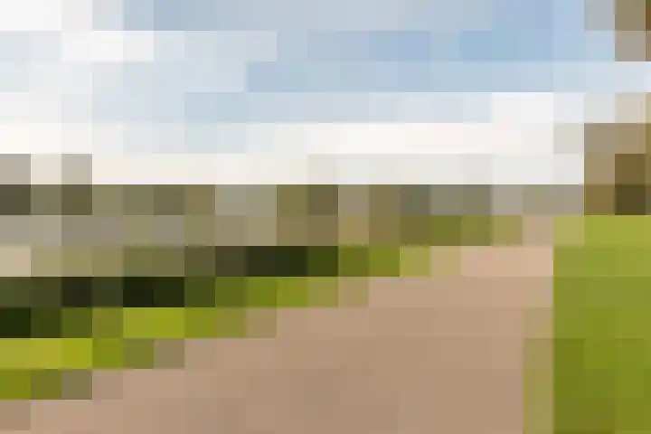 Prins Bernhardlaan 2 L Haarlem thumbnail 34