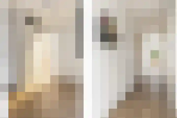 Prins Bernhardlaan 2 L Haarlem thumbnail 6
