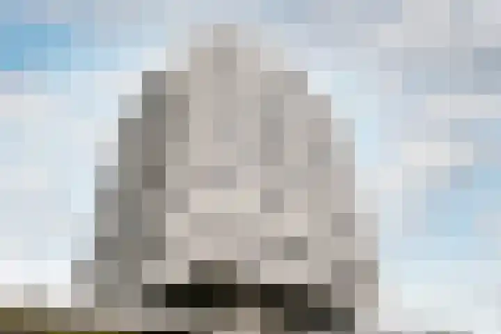 Prins Bernhardlaan 2 T Haarlem thumbnail 27