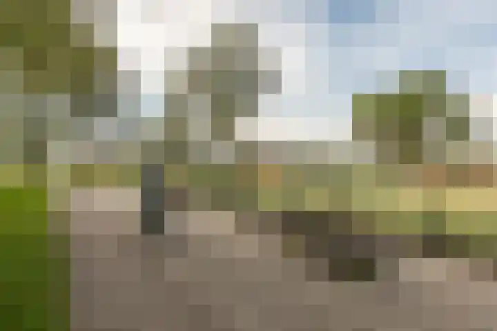 Prins Bernhardlaan 2 T Haarlem thumbnail 30