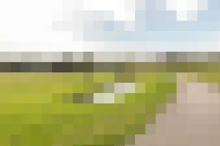 Prins Bernhardlaan 2 T Haarlem thumbnail 34
