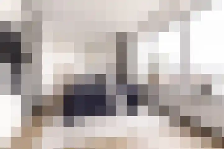 Prins Bernhardlaan 2 T Haarlem thumbnail 4