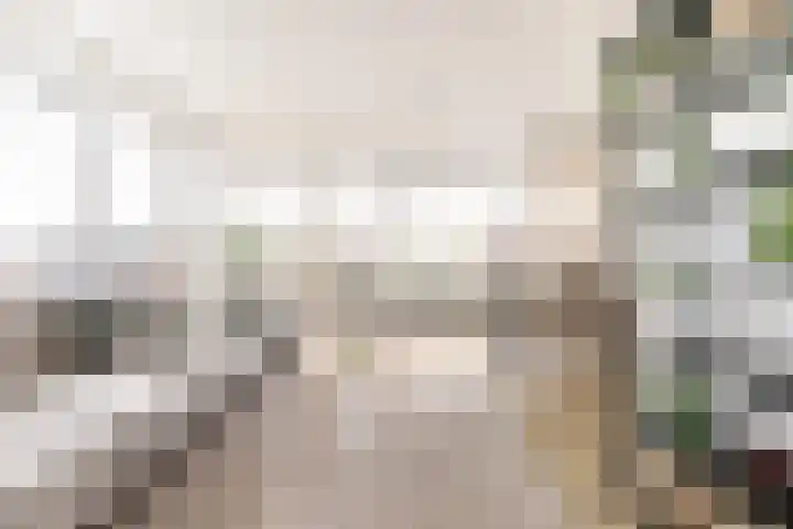 Prins Bernhardlaan 2 T Haarlem thumbnail 8