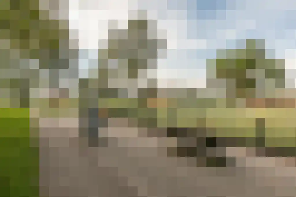 Prins Bernhardlaan 2 V Haarlem thumbnail 31