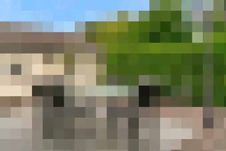 Prins Bernhardlaan 2 Valkenburg thumbnail 27
