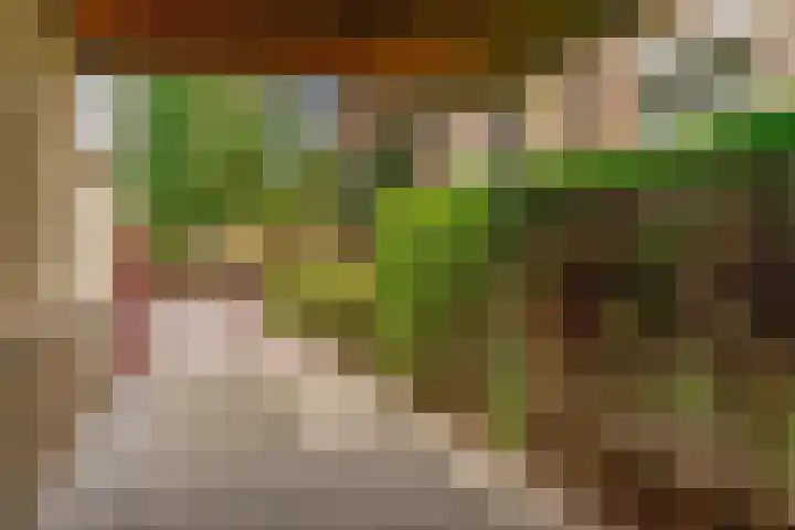 Prins Bernhardlaan 2 Valkenburg thumbnail 30