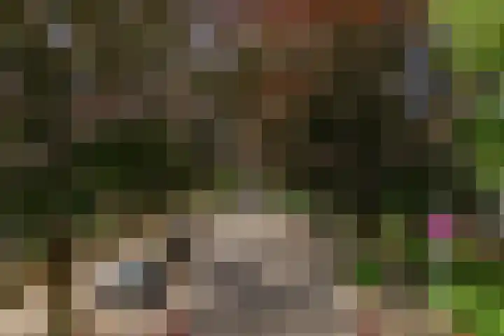 Prins Bernhardlaan 2 Valkenburg thumbnail 32