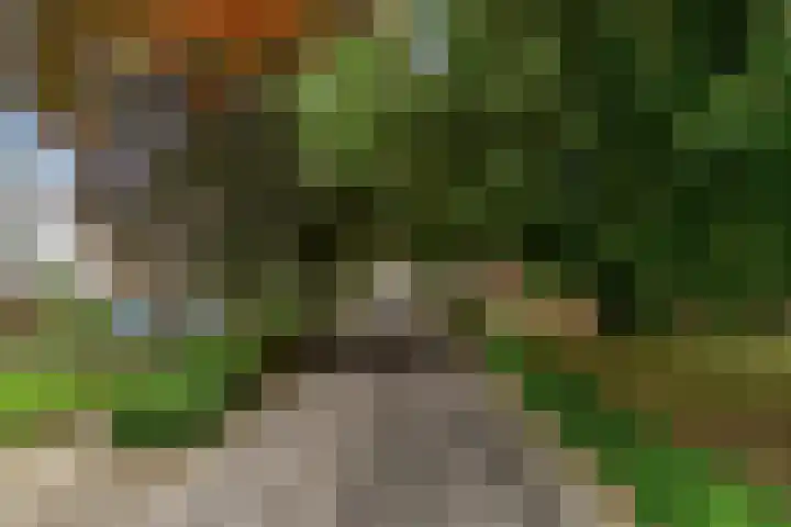 Prins Bernhardlaan 2 Valkenburg thumbnail 34
