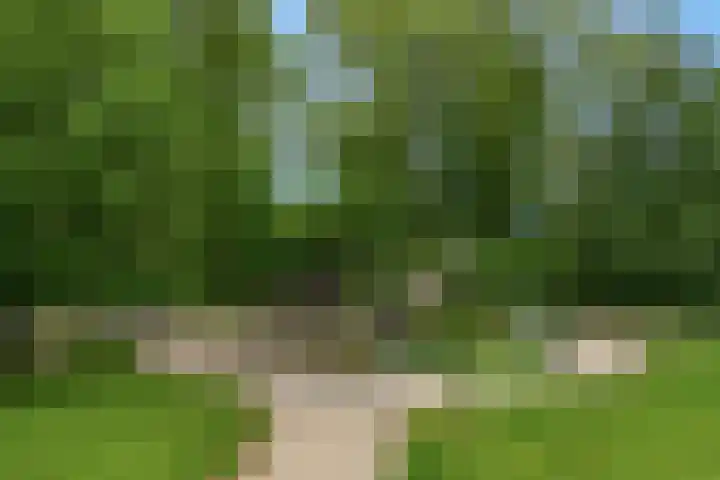 Prins Bernhardlaan 2 Valkenburg thumbnail 35