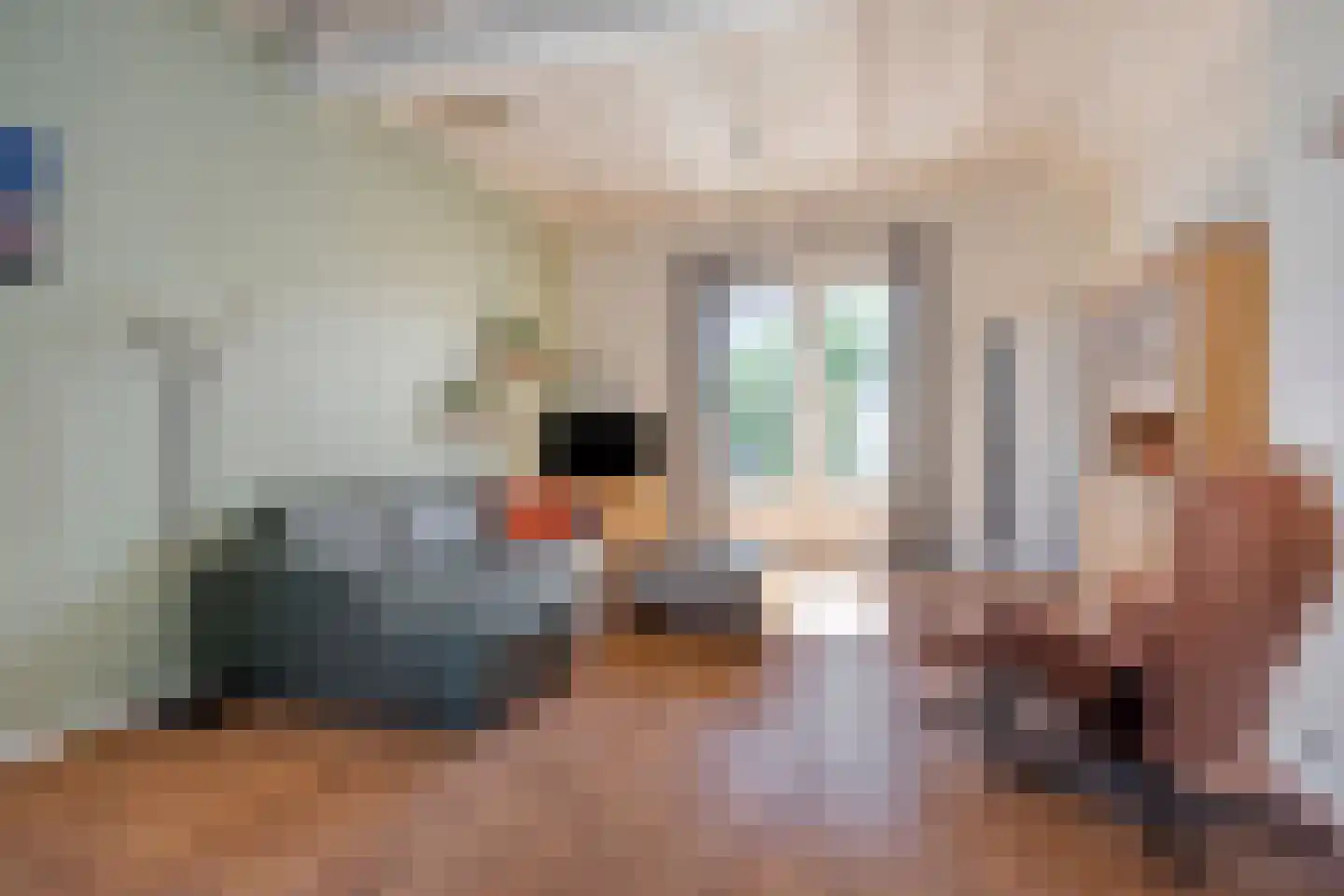 Prins Bernhardlaan 20 Bergen op Zoom thumbnail 6