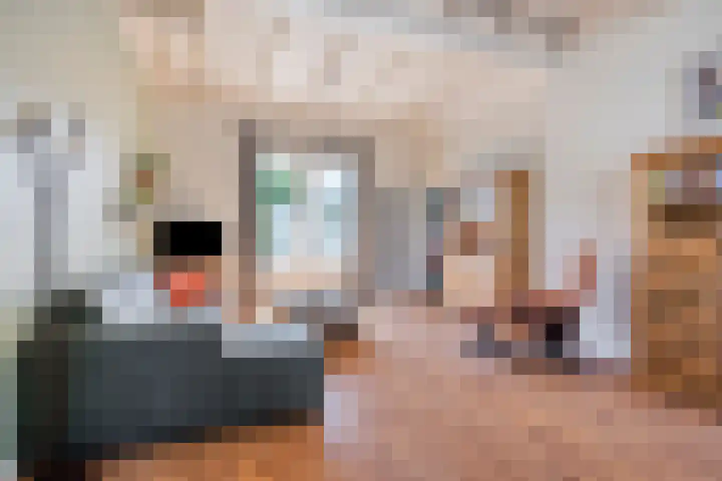 Prins Bernhardlaan 20 Bergen op Zoom thumbnail 7