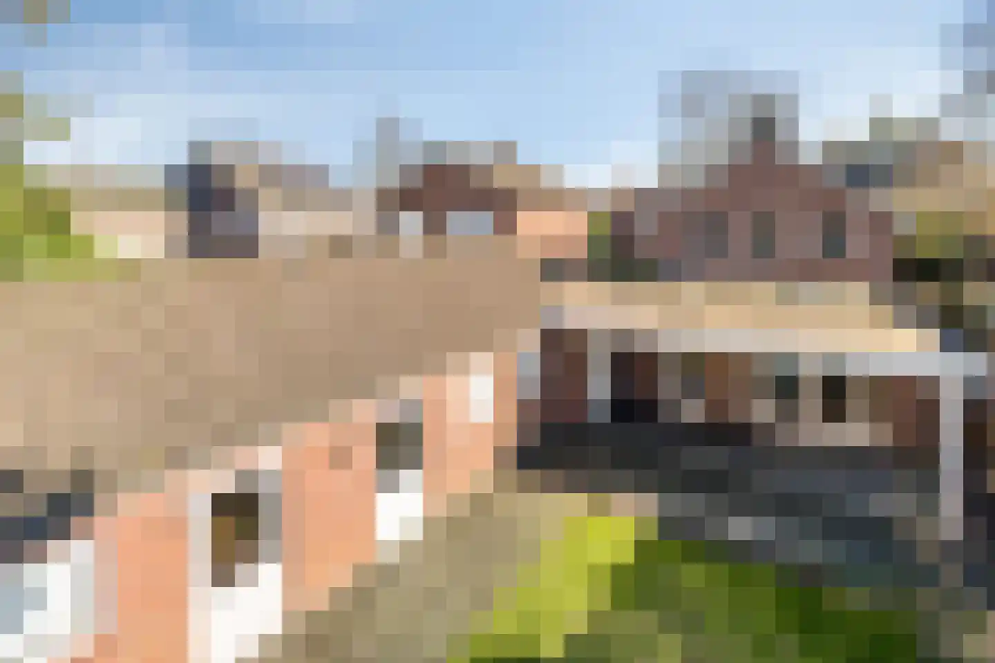 Prins Bernhardlaan 20 Heeze thumbnail 27